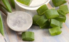 5 Tips When Buying Organic Aloe Vera Gels