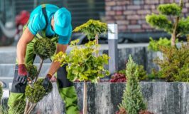 Wouldn’t You Rather Be a Professional Gardener?