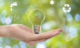 How to Be More Sustainable in Your Business