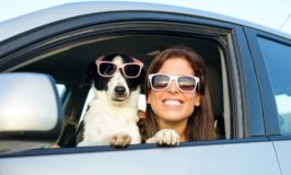 Think of Traveling with Your Pet? Reconsider!