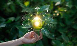 13 Ways to Create a More Sustainable Business Fast