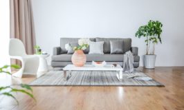 4 Ways to Improve Your Indoor Air Quality for Less